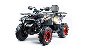 Запчасти комплект ATV 200 WILD TRACK X (2020)