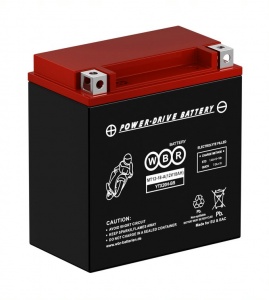 Аккумулятор WBR MT12-18A (12V18Ah) аналог YTX16-BS-1