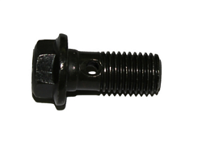 Болт М10х1.25х22 710010003